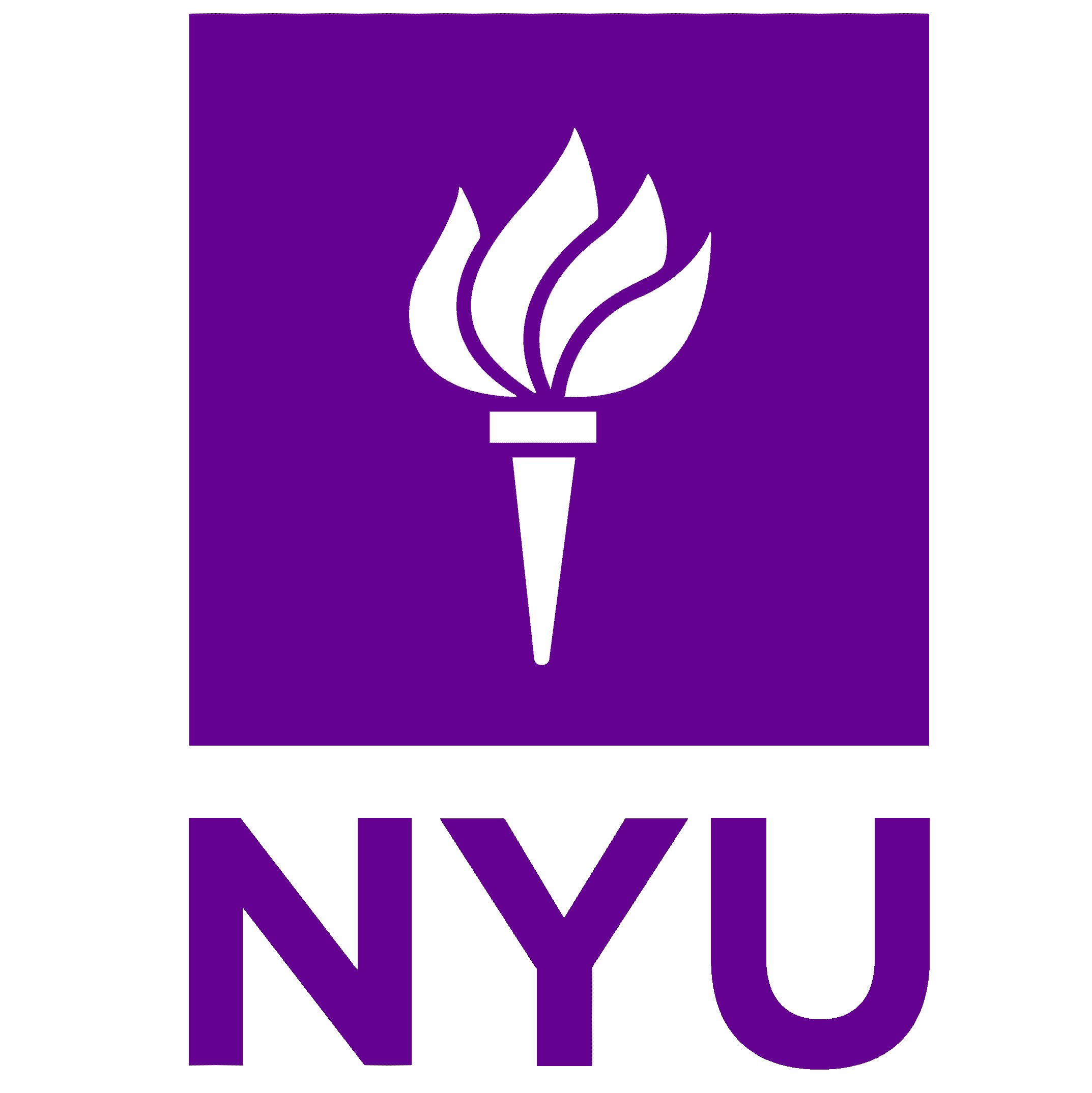 New York University